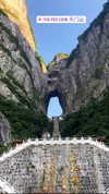 nikoleta.milenova Altpins Profile Picture