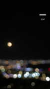 maori_cohen Altpins Profile Picture