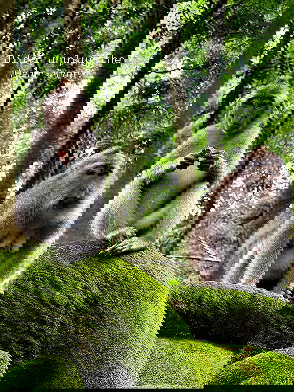 taylor.creeden taylor.creeden archive image