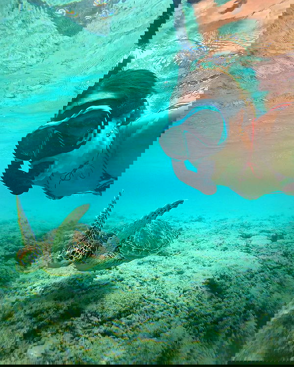 taylor.creeden taylor.creeden archive image