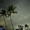 lolontlia Altpins Profile Picture