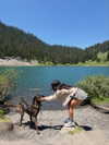 thelizzyporter Altpins Profile Picture