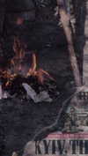alisen.mari Altpins Profile Picture