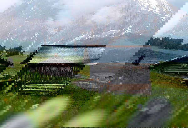 taylor.creeden taylor.creeden archive image