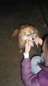 suzynorthway Altpins Profile Picture