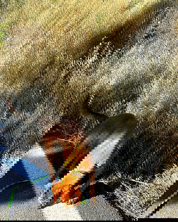 manjolamuriqi manjolamuriqi archive image