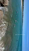 maori_cohen Altpins Profile Picture