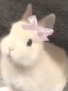 lulymakima Altpins Profile Picture