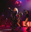 xtina Altpins Profile Picture