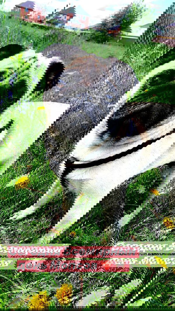 nyityam nyityam archive image