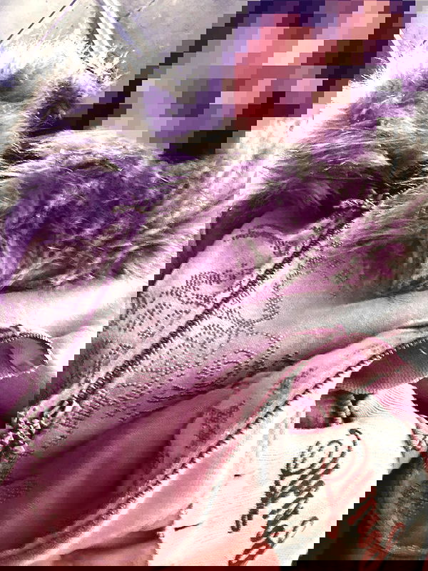 strawberryshanz strawberryshanz archive image