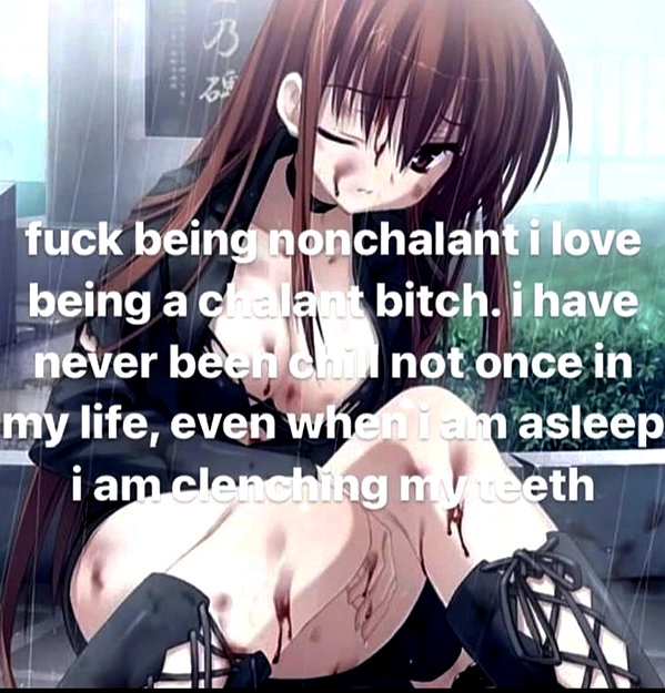 rixiadigivolved instagram image archive image