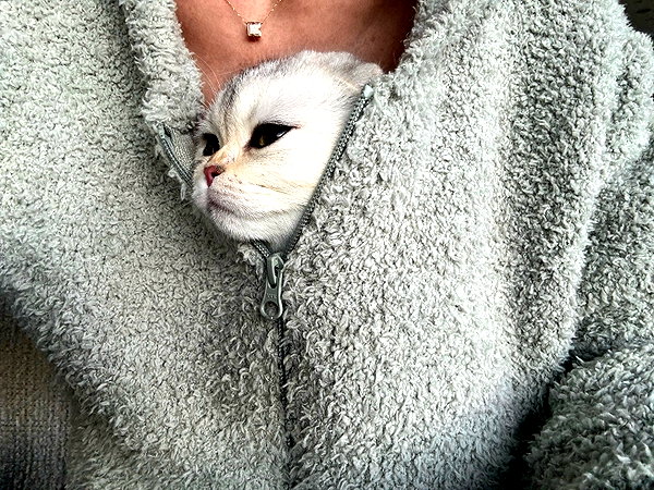 kyliejenner instagram image archive image