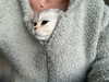 kyliejenner Altpins Profile Picture