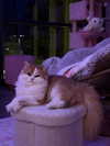 mennyaah Altpins Profile Picture