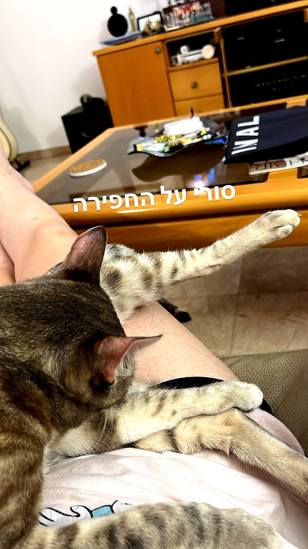 Archived image from @notchicore on Instagram