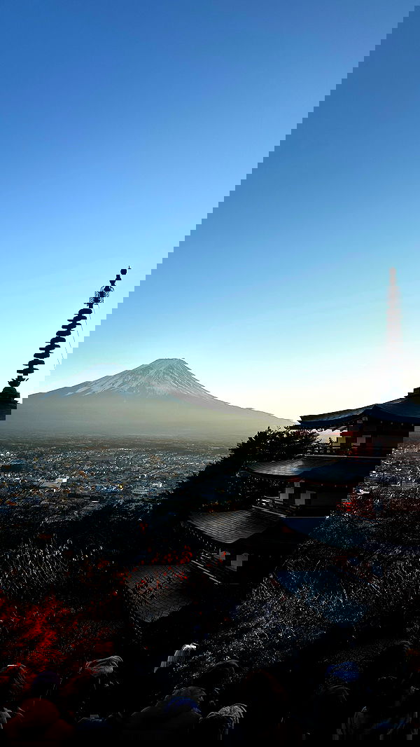 taylor.creeden taylor.creeden archive image