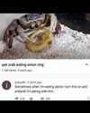 leanbeefpatty Altpins Profile Picture
