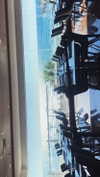 rose_xanne Altpins Profile Picture