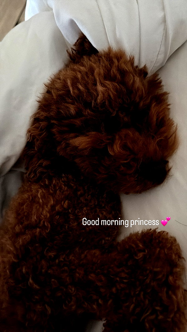 yaelshelbia instagram image archive image
