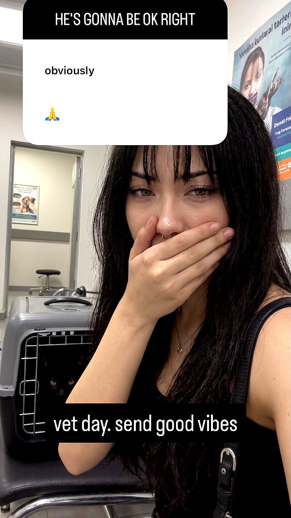 Archived image from @minavelez_ on Instagram