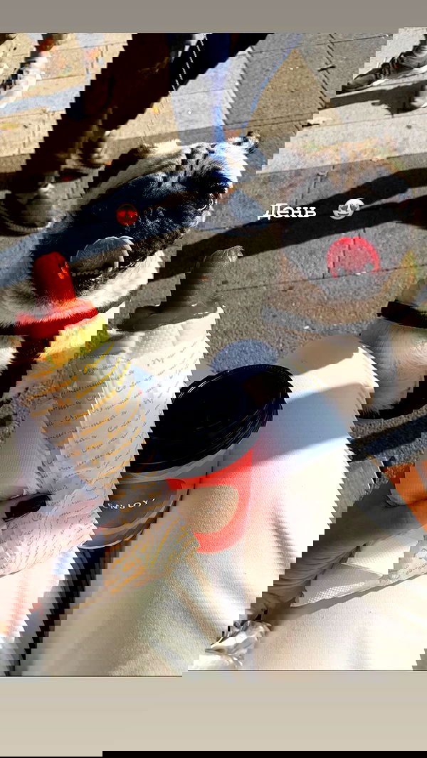 nyityam nyityam archive image