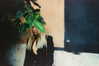 ashleybenson Altpins Profile Picture