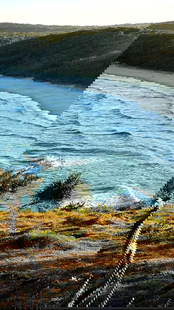 taylor.creeden taylor.creeden archive image