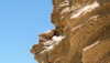 efrat_elmalich Altpins Profile Picture