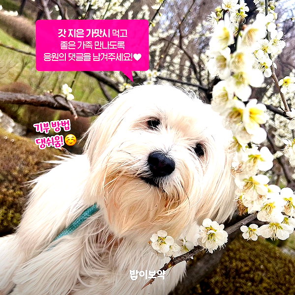 harimpetfood instagram image archive image