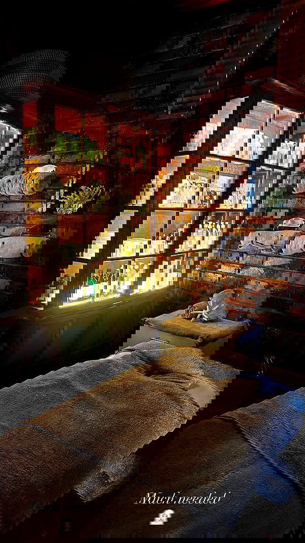 taylor.creeden taylor.creeden archive image