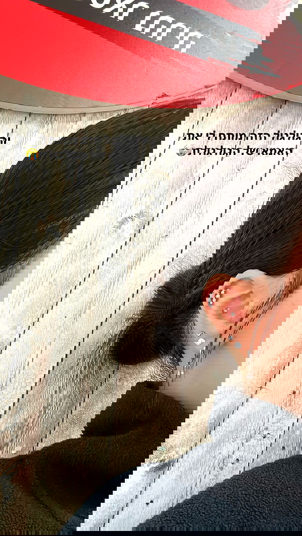 tuliprivet tuliprivet archive image