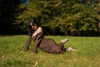 ruth_chavarri Altpins Profile Picture