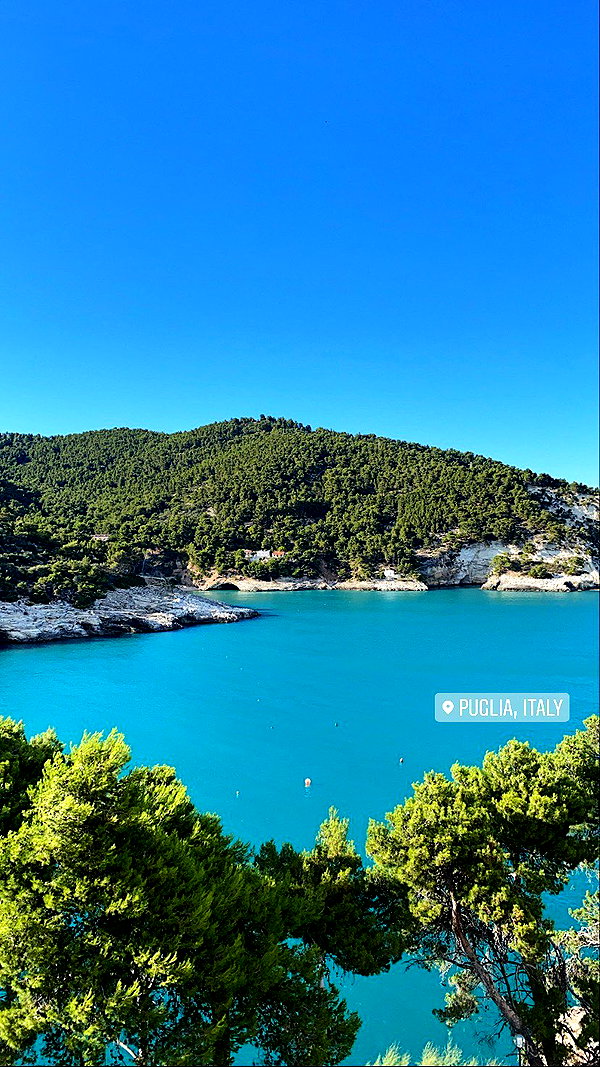 federica.piccinni instagram image archive image