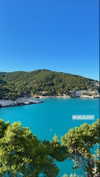 federica.piccinni Altpins Profile Picture