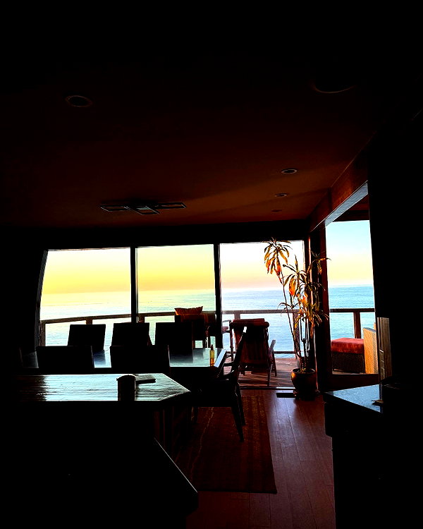 alexconsani instagram image archive image