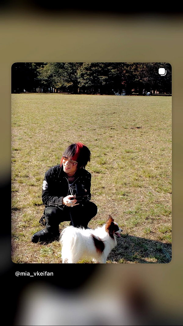 Archived image from @li.zi.707 on Instagram