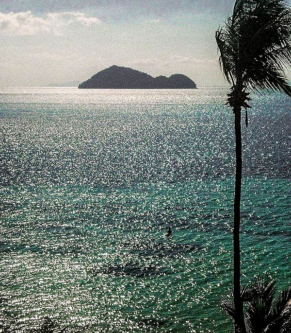 sophadophaa_ instagram image archive image