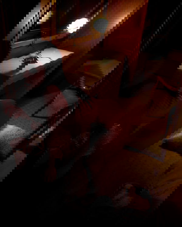 ting851204 ting851204 archive image