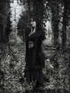 bat.wiings Altpins Profile Picture