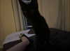 luckyme483 Altpins Profile Picture
