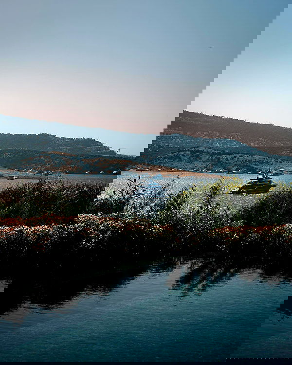 tateauraa tateauraa archive image