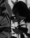 sagi.photo Altpins Profile Picture