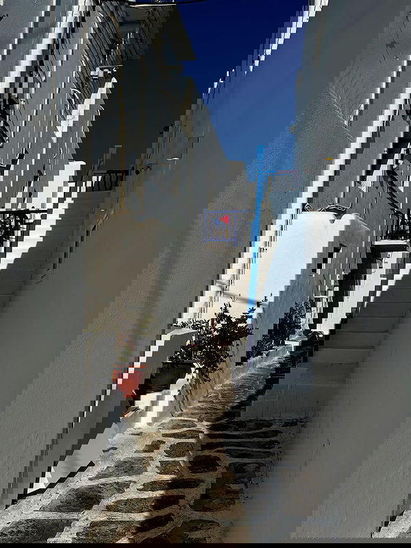 taylor.creeden taylor.creeden archive image