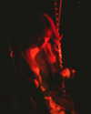 basakerrrrr Altpins Profile Picture