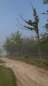 gritsa.k Altpins Profile Picture