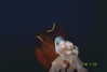 kafelnikova_a Altpins Profile Picture