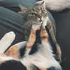 nishymoon_ Altpins Profile Picture