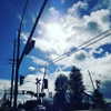 muze Altpins Profile Picture