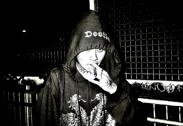 bugz4brainz instagram image archive image
